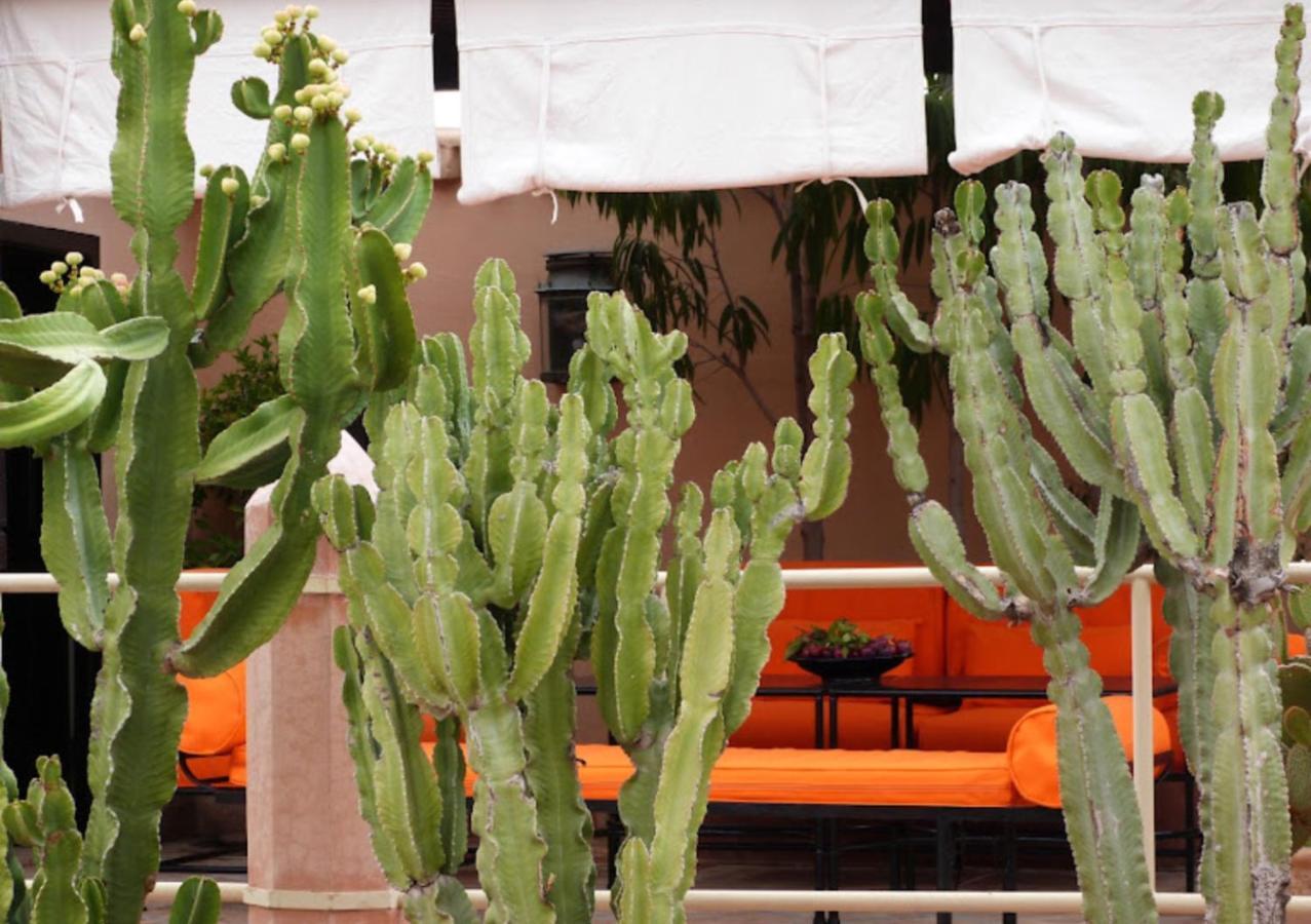 Riad Zouhour Marrakesh Exteriör bild