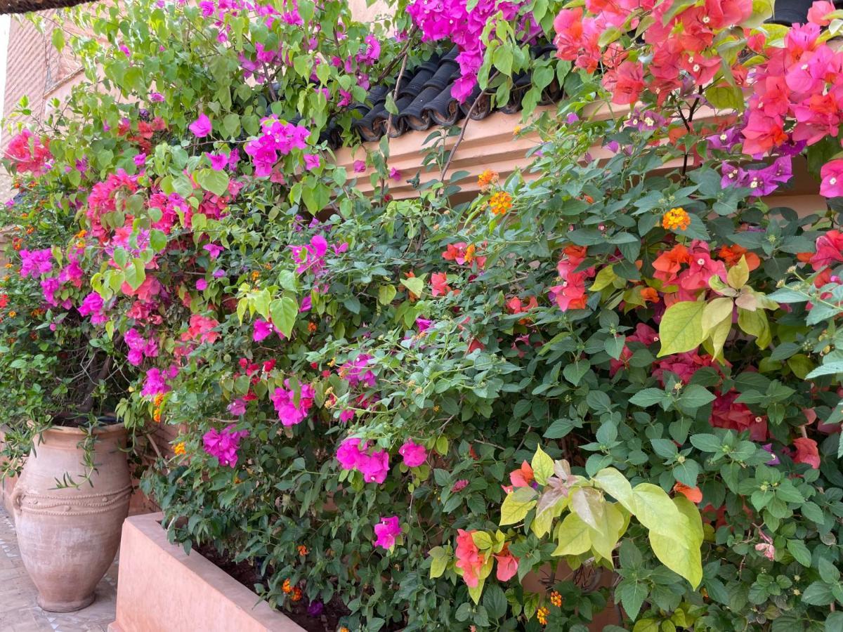 Riad Zouhour Marrakesh Exteriör bild