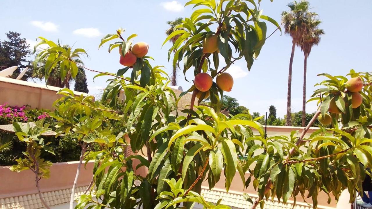Riad Zouhour Marrakesh Exteriör bild
