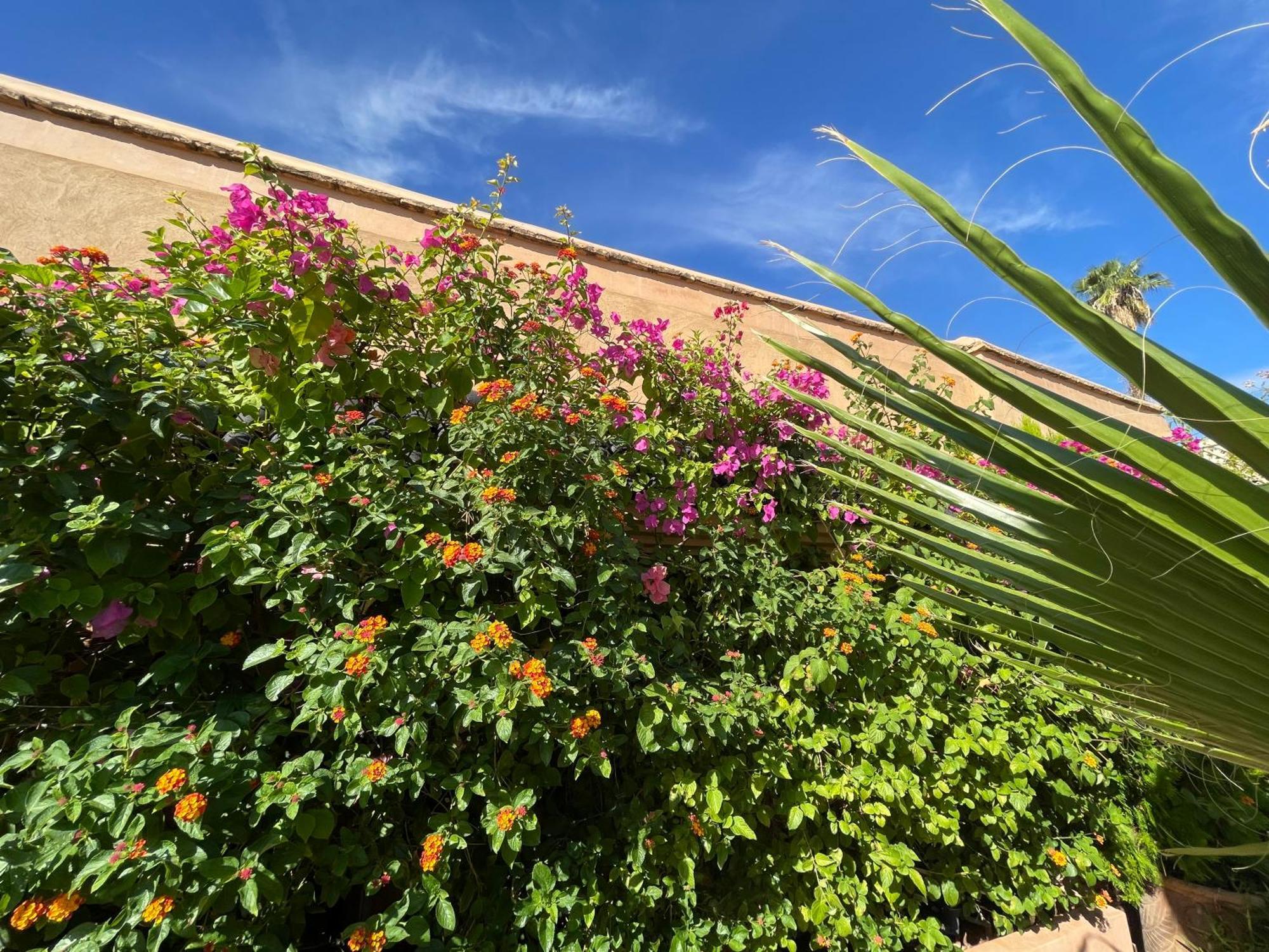 Riad Zouhour Marrakesh Exteriör bild